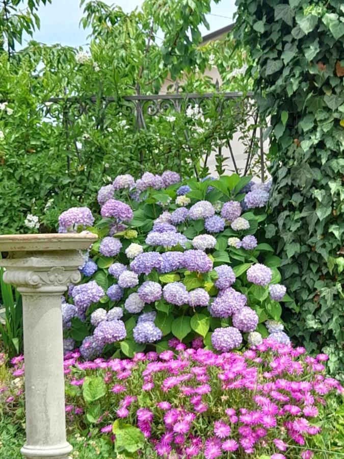 Monti Guesthouse Monti di Licciana Nardi 外观 照片