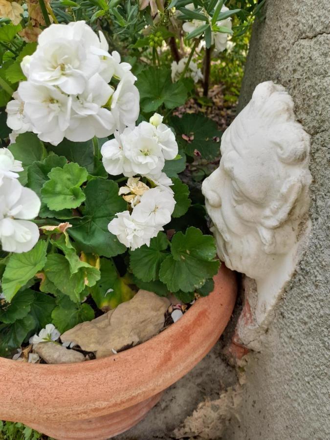 Monti Guesthouse Monti di Licciana Nardi 外观 照片