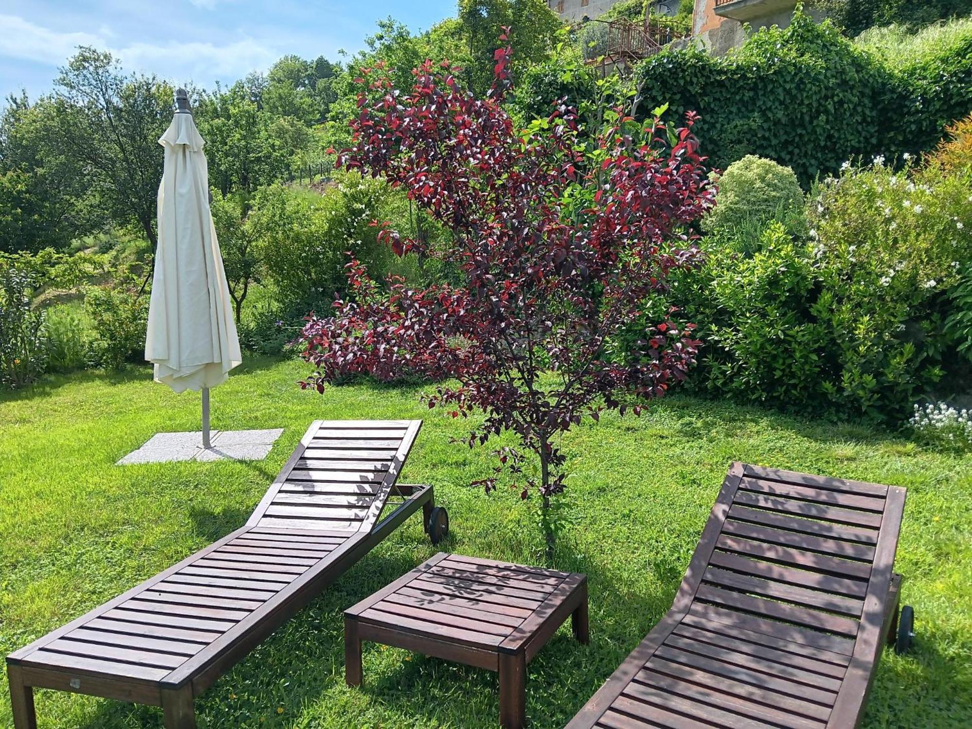 Monti Guesthouse Monti di Licciana Nardi 外观 照片